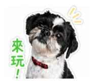 841679468