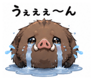 841679507