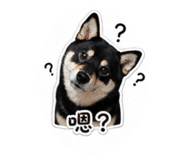 841680365