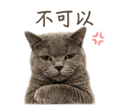 841680500