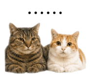 841680890