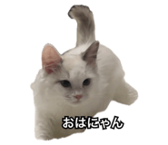 841680969