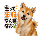 841681156