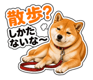 841681164