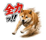 841681165