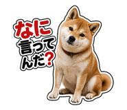 841681166