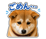 841681169
