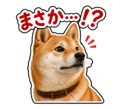 841681171