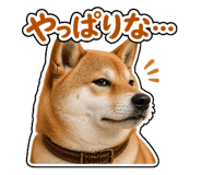 841681172