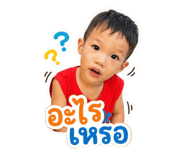 841681731