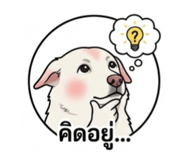 841682427