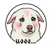 841682432