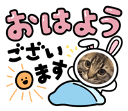 841685351