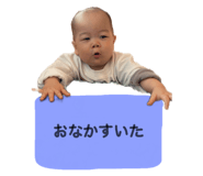 841686637