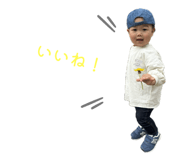 841686646