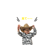 841686653