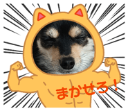 841686940