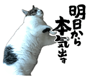 841687040