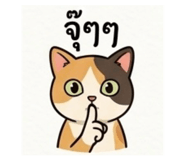 841687047