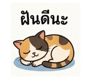 841687072