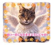 841687207