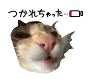 841687699