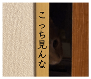 841687701