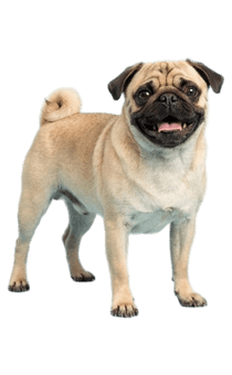 841689690