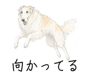 841689896