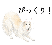 841689904