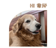 841690017