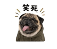 841690490