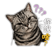 841690535