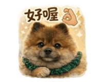 841691124