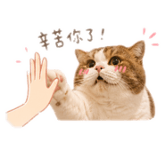 841691302