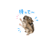 841692203