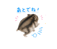841692222