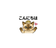 841692418