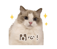 841692706