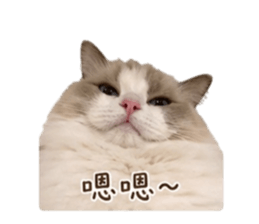 841692709