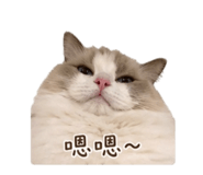 841692709