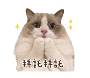 841692713