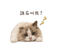 841692740