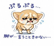 841692806