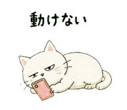841693185