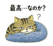 841693186