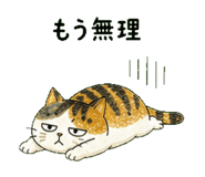 841693192
