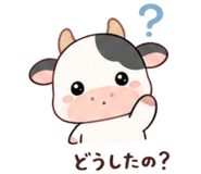 841693207