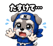 841693312