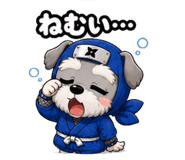 841693316